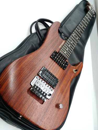 Washburn nuno bettencourt - washburn,