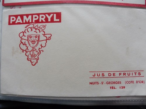 Superbe buvard pampryl - ,