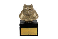 Américain Bully Noir Lettres