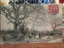 cpa 50 st saint pierre eglise