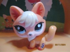 Petshop Renard #1812