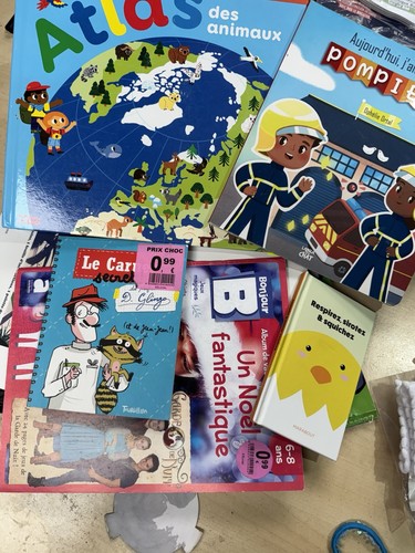Lot livres uniquement - livres,
