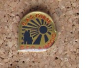 Pin's EDF GDF CAS Corse GFC