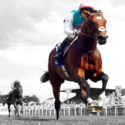 Methode turf selections - methode,