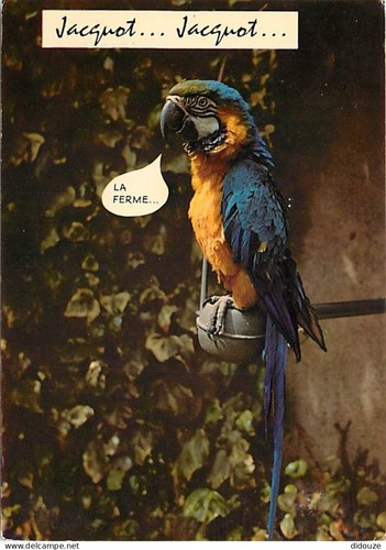 Carte postale animaux - -,