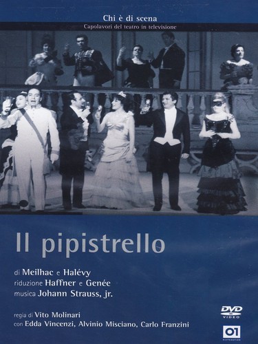 Pipistrello vito - il,