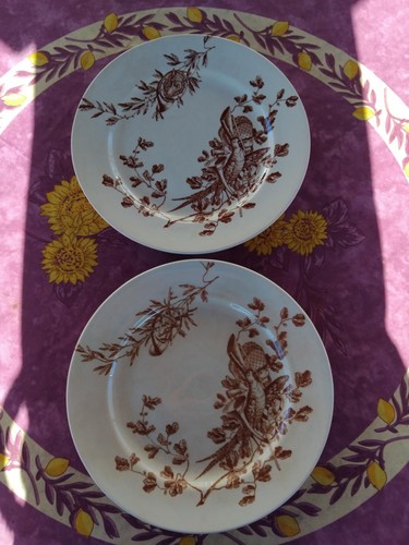 Assiettes plate terre fer - assiettes,