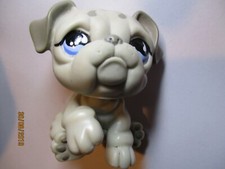 PETSHOP CHIEN BOULEDOGUE