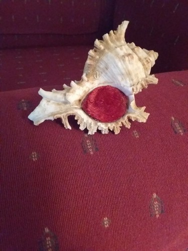 Vintage victorian velvet - vintage,