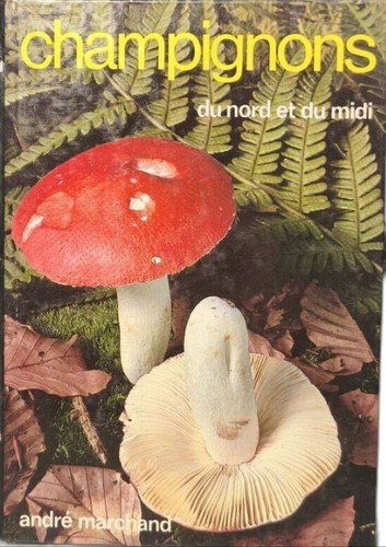 Champignons nord du - nord,