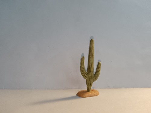 Timpo western cactus - western,