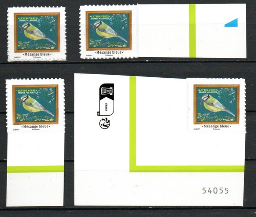 France 2025 mésange bleue - france,