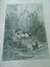 Gravure 1888 - Je Chien de