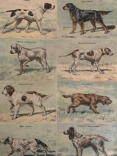 LE PETIT JOURNAL - MANUFRANCE