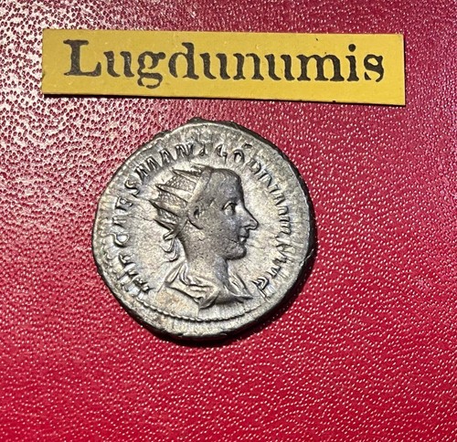 Denier gordien iii - denier,