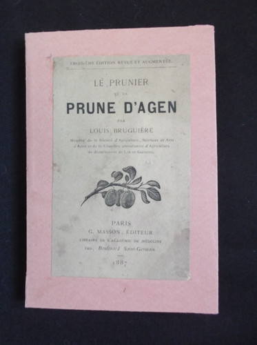 Prunier prune d agen - prune, d'agen