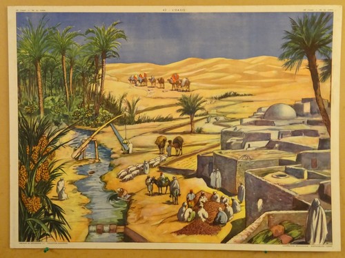 Affiche scolaire rossignol - scolaire,