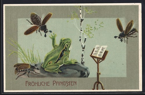 Carte postale relief - postale,