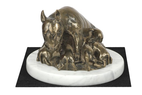 Bull terrier - bull,