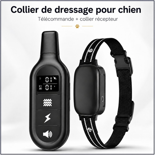 Collier dressage chien - de,