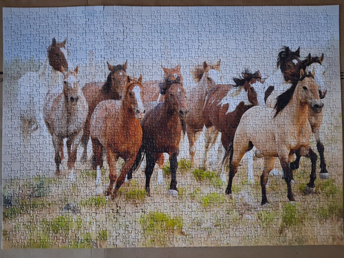 Puzzle 1000 pièces marque - -,