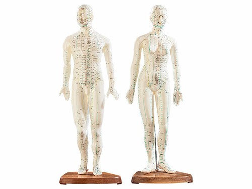Mannequins acupuncture - 2, d’acupuncture