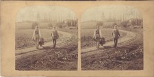 Retour des champs belle scène - des,
