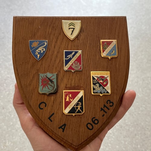 Plaquette bois insignes - en,