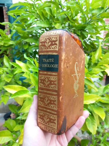 Trompe oeil livre bouteille - l'oeil,