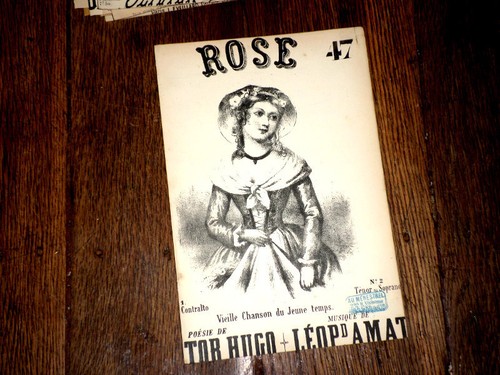 Rose vieille chanson - , jeune