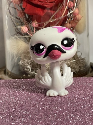 Petshop cygne 3559 - ,