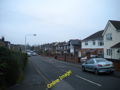 Photo 6x4 linden - photo,