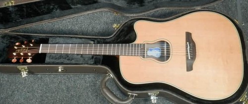 Takamine signature series - takamine,