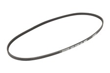 Courroie Trapézoïdiale