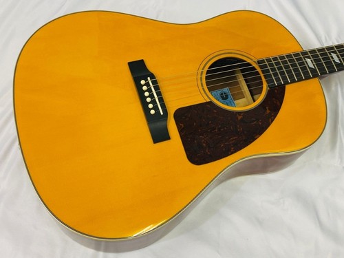 Guitare électrique acoustique