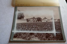 Château RAUZAN-SEGLA  VIN grand CRU  MARGAUX photo projet étiquette  peinture