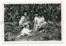 Vintage photo - women playing with dog in corn field