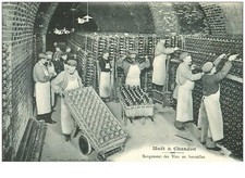 agriculture .n°40347 . rangement des vins en bouteilles . vignes. moet et cha