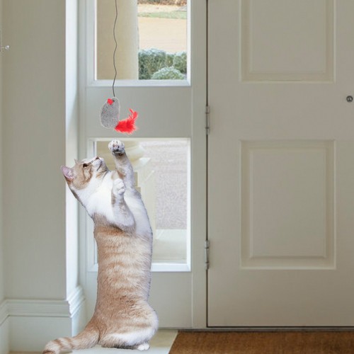 Jouet suspendu pour chat - , avec