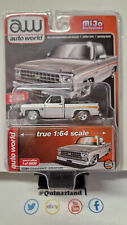 Auto World Exclusive Mijo 1980 Chevrolet Silverado silver white (NG15)