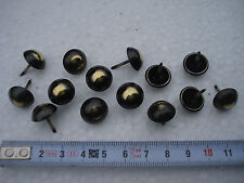 Clous de tapissier (105) perle