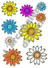 FLEURS MARGUERITE: 9