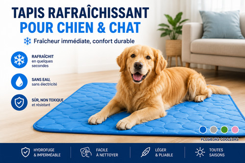Tapis rafraîchissant chien - rafraîchissant,