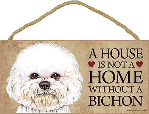Bichon frise house not a - frise,