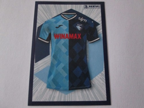 Sticker panini foot 2024 - sticker,