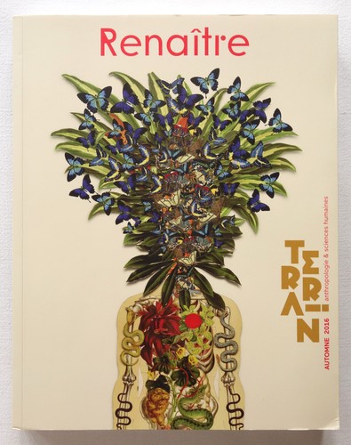 Revue terrain - terrain, n°