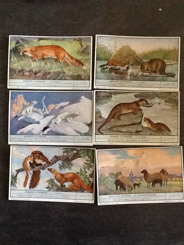 Lot chromos liebig serie - 6,