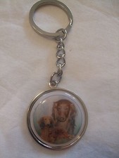 Porte-clés en métal - chien  TECKEL POIL LONG