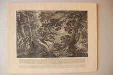 Retirage XIXe d'une gravure de RIDINGER (XVIIIe). La surprise des coqs des bois.