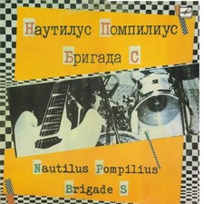 Nautilus pompilius - nautilus, /